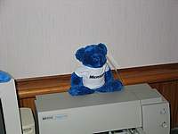 Microsoft Blue Bear